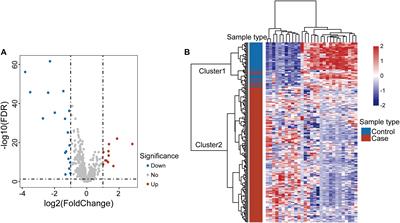 Identification and Validation of Novel Long Non-coding RNA Biomarkers for Early Diagnosis of Oral Squamous Cell Carcinoma